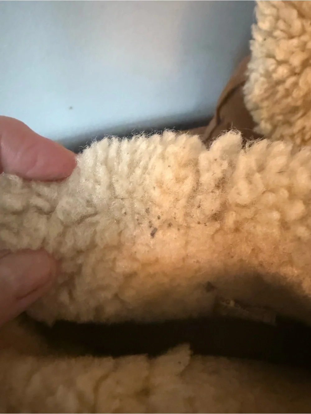 UGG cedric chestnut